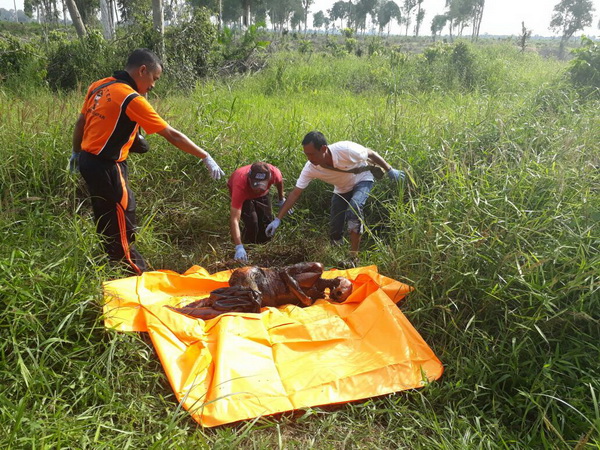 9 Hari Hilang, Kakek Renta Ini Ditemukan Tewas